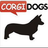 Corgi Dogs facebooks page icon