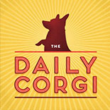 Daily Corgi blog page icon